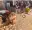 07-04-2025 15:35 - Mauritanie : à Sélibabi, le corps d’un homme présenté comme étant un chrétien déterré Mauritanie : à Sélibabi, le corps d’un homme présenté comme étant un chrétien déterré 