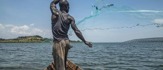 Le Nil, de l'Egypte à l'Ouganda, chronique d'un assèchement annoncé