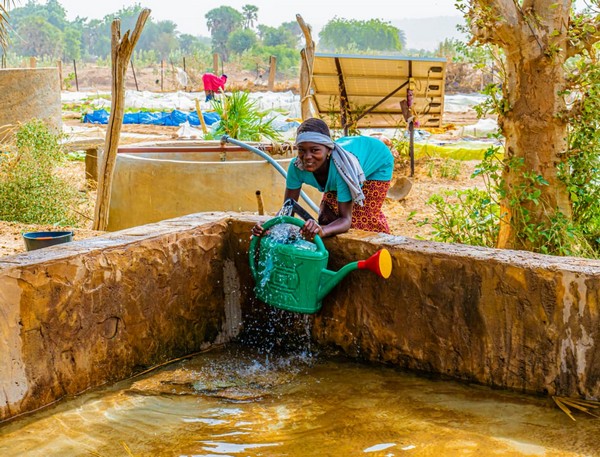 12-05-2025 21:45 - Projet PEAF au Guidimakha et au Trarza: Pérenniser les activités par les microcrédits