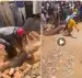 07-04-2025 15:35 - Mauritanie : à Sélibabi, le corps d’un homme présenté comme étant un chrétien déterré Mauritanie : à Sélibabi, le corps d’un homme présenté comme étant un chrétien déterré 